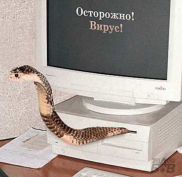 ���������! �����!