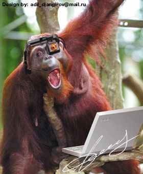 ����������� Windows